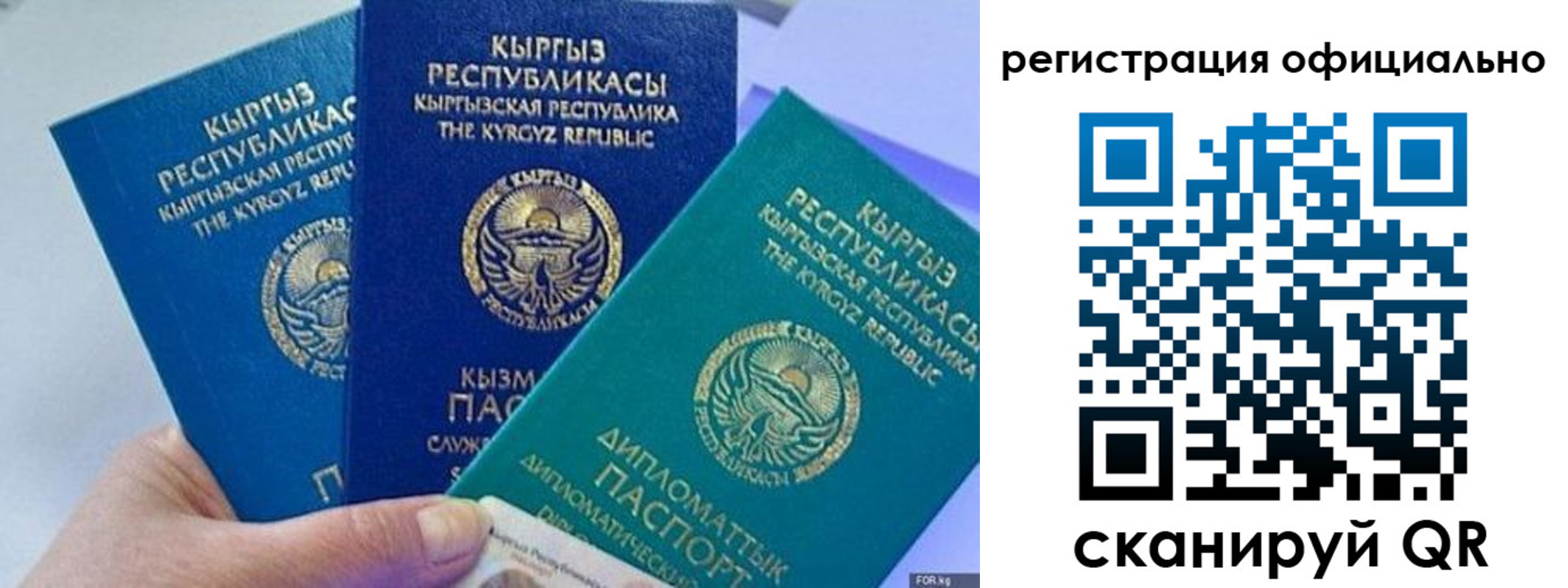 прописка в Железногорске